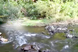 Diễn biến mới vụ 4 người trong một gia đình bị giết bên bờ suối