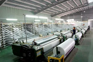 Doanh nghiệp tư nhân đang trỗi dậy mạnh mẽ 