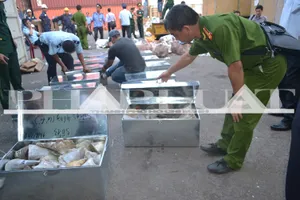 Hơn 735 kg ngà voi và sừng tê giác ‘sa lưới’ ở cảng miền Trung