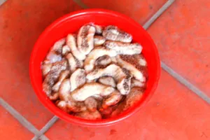 Sản vật tiến vua trôi dạt vào bờ biển