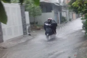 Hẻm chưa từng ngập ở Cần Thơ lênh láng sau mưa lớn 