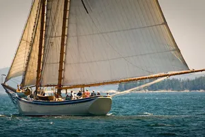 Du khách Hong Kong rơi từ thuyền buồm xuống biển