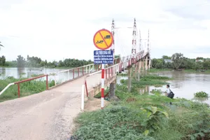 Cấm lưu thông cầu dây văng không phép