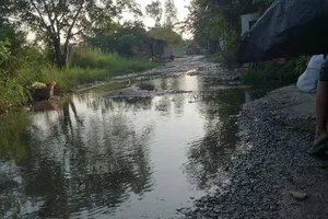 Đi đường như đi… thú nhún