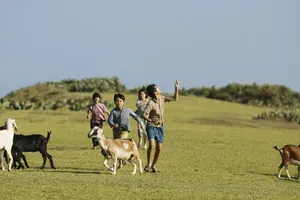 Không thể làm phim 'khách chẳng buồn xem, tốn đống tiền thuế của dân'
