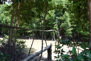 Con giết cha rồi đốt xác phi tang