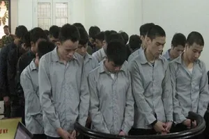 Trút giận, ném đá người không liên quan đến chết