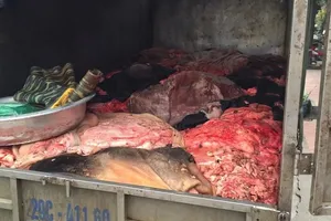 Chở một tấn nội tạng lậu, bốc mùi về…thủ đô