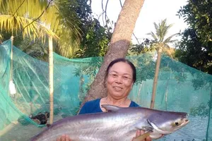 Ngư dân liên tiếp bắt được cá ‘khủng’ ở sông Đồng Nai