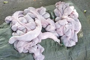 Cấm tạm nhập nội tạng đông lạnh cho Trung Quốc