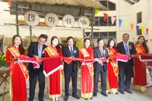 Hơn 300 gian hàng tham gia Hội chợ Xuân Đà Nẵng 2016