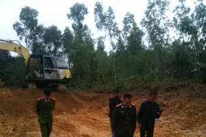 Hàng triệu khối diệp thạch sét bị đào trộm trên quy mô lớn