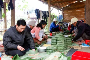 Mang bánh chưng Tết đến với người Bahnar nghèo