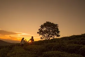 Anh đến với tôi vào mùa xuân buồn nhất