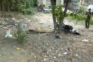 Tông xe vào gốc cây bàng, một người tử vong 