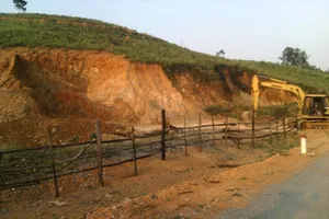 Đổi chiến thuật trộm diệp thạch sét trong đêm