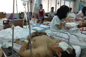 BV Chợ Rẫy: Máu sử dụng dịp tết tăng gần 23%