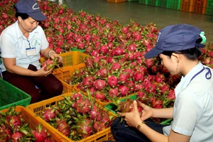 Gặp gỡ tham tán: Doanh nghiệp than xuất hàng quá khó