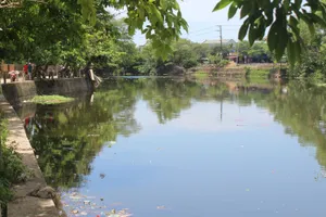 “Ăn mồng 5 xong mẹ đưa con về học hè mà”