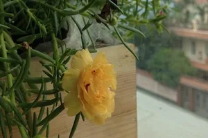 Chọn tuổi thơ nào cho con?