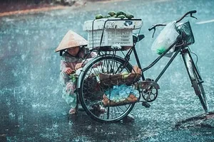 Con gửi mẹ một đêm mưa