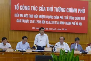 Chủ tịch Hà Nội giải trình việc cắt tỉa cây xanh