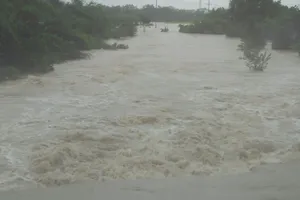 Lũ dữ cuồn cuộn đổ về Ninh Thuận