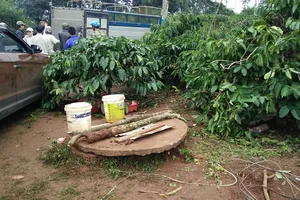 Cứu con rơi xuống giếng, cả hai mẹ con cùng tử vong