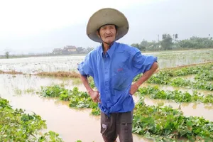 Quảng Nam thiệt hại gần 500 tỉ đồng sau lũ