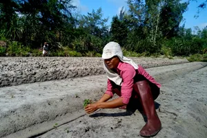 Mong một cái tết không đói