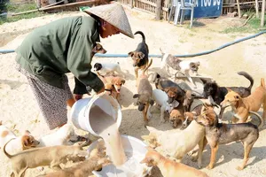 Cần đơn giản thủ tục đăng ký nuôi chó cho dân nhờ!