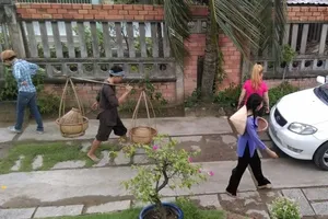 Chặt hạ cây xanh, ‘hạ’ cả nhiều điều khác