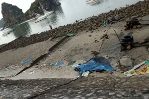 Tức mắt với váng dầu và rác thải ven vịnh Hạ Long