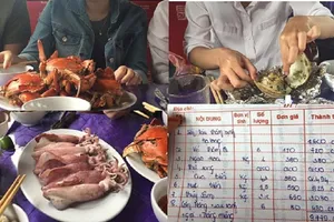 Bị 'chặt chém' khi du lịch, cầu cứu ở đâu?