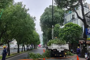 TP.HCM: Năm 2022 xây dựng mới tối thiểu 10 ha công viên công cộng 