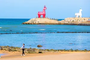 Từ 1-10 Hàn Quốc bỏ test COVID-19 cho du khách khi nhập cảnh