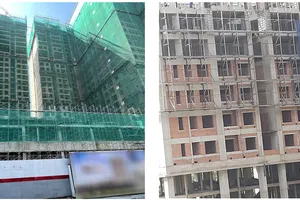 Cần chế tài mạnh với vi phạm việc sử dụng vật liệu xây không nung trong xây dựng 