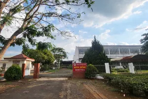 Không biến đất công thành đất tư trong chuyển nhượng vườn chè ở Lâm Đồng