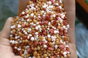 Việt Nam nhập khẩu phân bón Trung Quốc nhiều nhất 