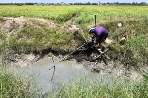 Vì sao Đồng bằng sông Cửu Long sạt lở, thiếu cát và phù sa?