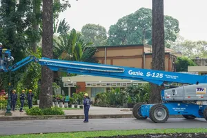 TP.HCM: Mạnh dạn thay thế cây xanh già cỗi để giảm rủi ro 