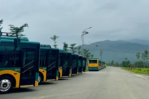 Miễn phí vé 17 tuyến xe buýt kết nối metro số 1