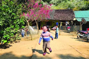 Ảnh: H.Giang - Đ.Trung