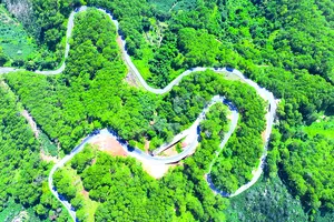 Đèo D’Ran. Ảnh: VÕ TÙNG