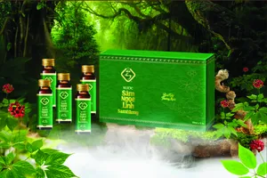 Các sản phẩm đa dạng của Công ty CP Sâm Việt Nam - Trà My Quảng Nam. Ảnh: Kiên Cường 