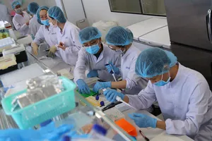 Nhân viên làm việc trong một công ty tư nhân trong khu công nghệ cao TP.HCM. Ảnh: HOÀNG GIANG