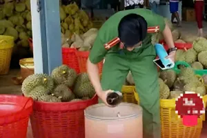 Thông tin 'sầu riêng nhúng hóa chất tại Đắk Nông' đã bị cắt ghép