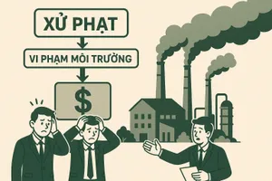 Nhiều doanh nghiệp ở Đà Nẵng bị phạt vì vi phạm về môi trường