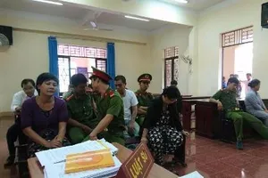 Vụ 'oan gia ngõ hẹp': Hoãn xử để triệu tập điều tra viên