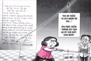 Tòa phúc thẩm xử sai bị tòa cấp cao tuýt còi